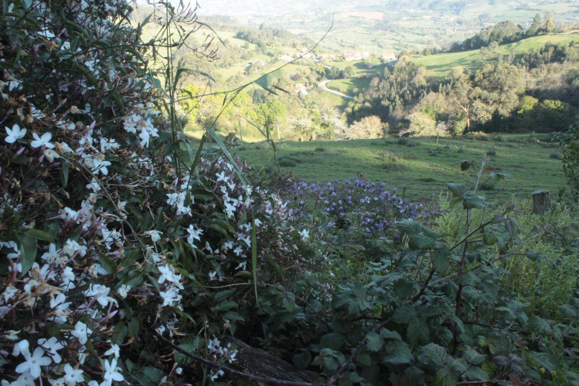 Alojamientos Rurales Pena Crespa Tresvilla Kültér fotó
